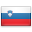 Slovenian flag