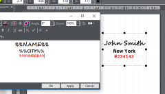 Custom fields example